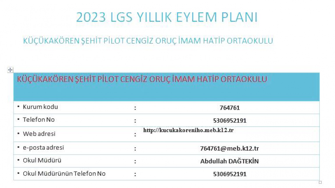 Hedef LGS 2023 Yıllık Eylem Planı 